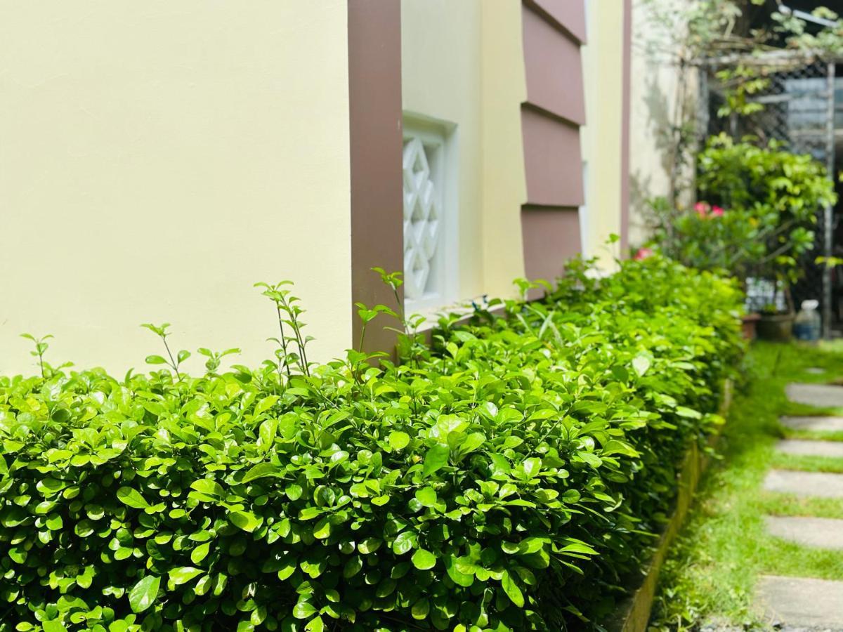 Do River Homestay Χόι Αν Εξωτερικό φωτογραφία