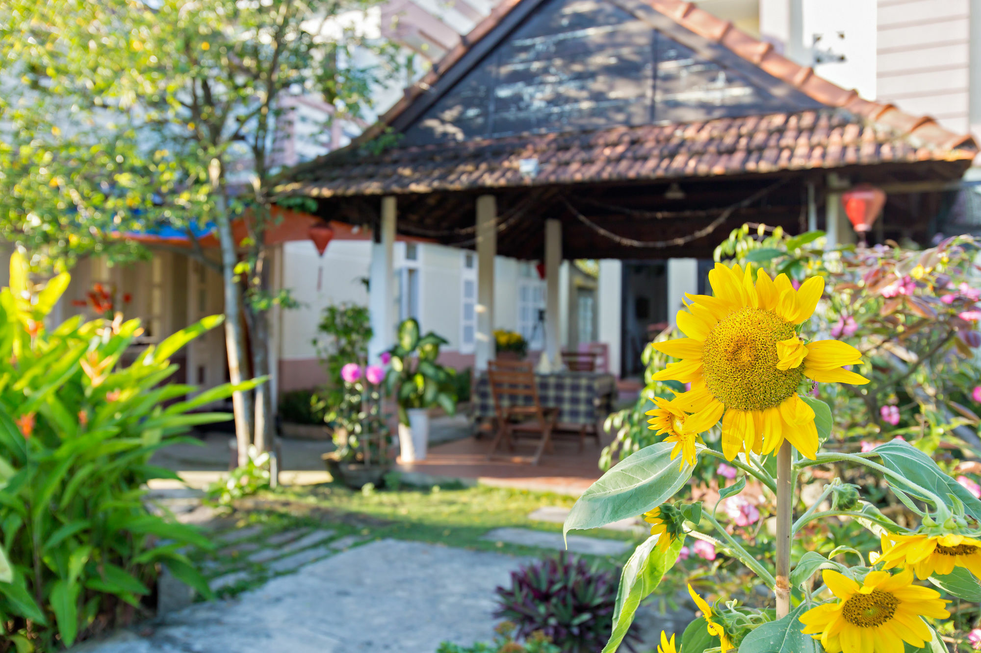 Do River Homestay Χόι Αν Εξωτερικό φωτογραφία